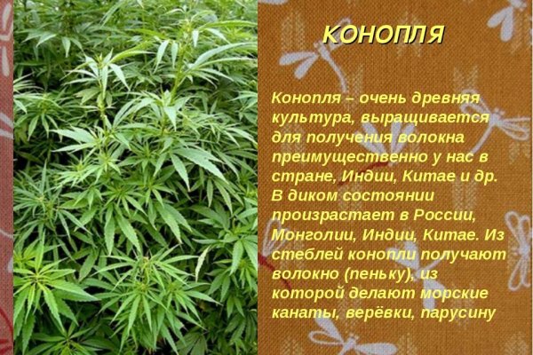 Нарко сайт кракен