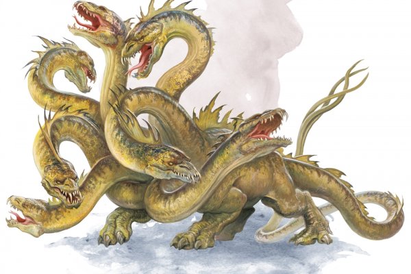 Kraken19at