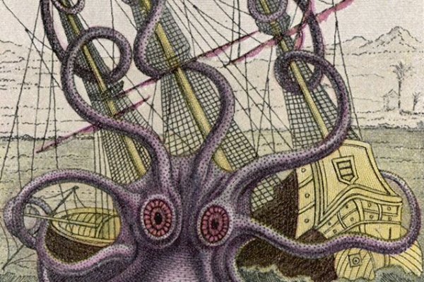 Kraken cc