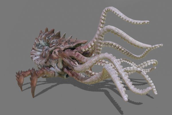 Сайт кракен магазин kraken2 tor2 xyz