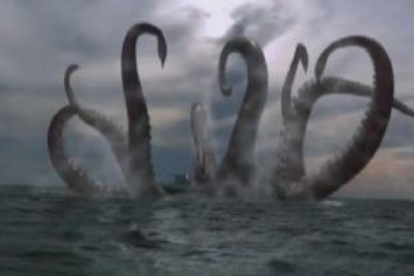 Kraken 5 at