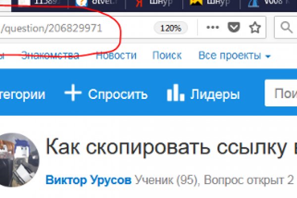 Кракен ссылка trikky
