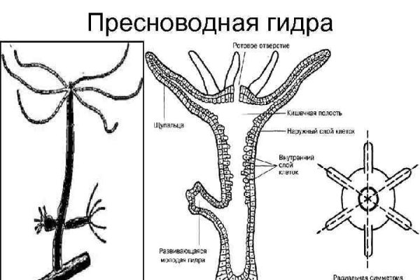 Кракен маркет что