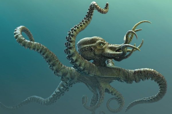 Kraken рабочее зеркало onion