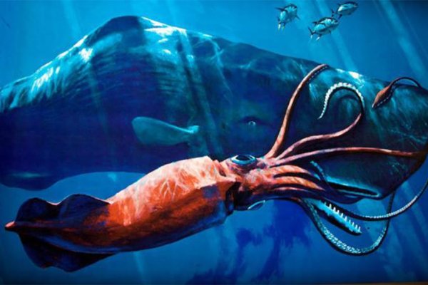 Официальный сайт kraken kraken clear com