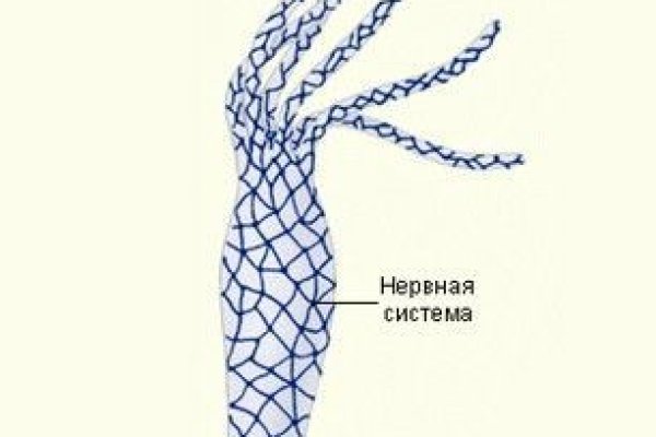 Кракен ссылка vtor