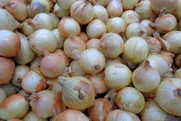 Кракен зеркало onion